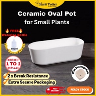 Long Size Bathtub Shape Ceramic Pot for Small Plants