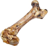 Wally Wags Cow Femur Bone for Dogs | 1 Bone | Long Lasting Mammoth Dog Bones for Aggressive Chewers,