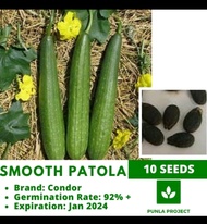 PATOLA 10pcs  Smooth vegetable repacked seeds