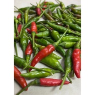 50gm+/- Chili / Cili Padi（cili api kampung)
