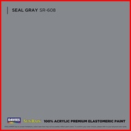 ◹ ☾ ℍ DAVIES Sun & Rain Color Pods Paint (250ml) Seal Gray