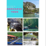Mangrove Tour Langkawi