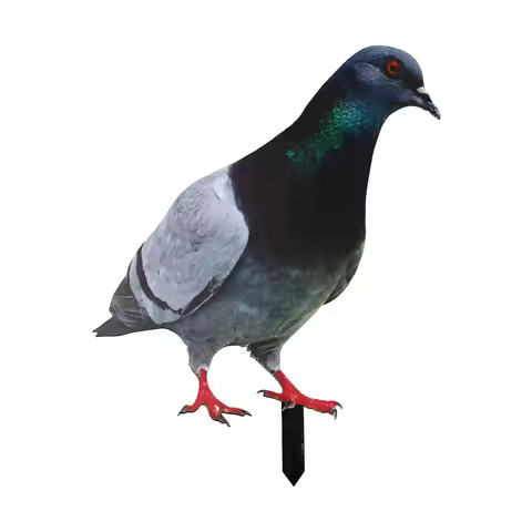 2D Acrylic Garden Pigeon Statue Wild Pigeon Sculpture For Garden Yard Decoration Farm Card Simulatio