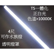 【ARS生活館】LED水族燈 T5不斷光 色溫&gt;13000k 4呎 白光 透明