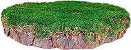 SuperMoss Mossy Tree Stump, for Indoor Outdoor Garden Decor, Natural Pine and 100% Real Sheet Moss, 10" in Dia x 1" Tall