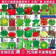 Vegetable Seeds Vegetable Seeds Four Seasons Small Chives Seeds Leeks Daquan Small Cabbage Lettuce S