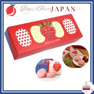 Hakata Strawberry Macaron 5 Pieces Kyushu Fukuoka Hakata Souvenir 【 Direct from Japan 】