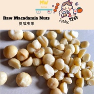 Raw Macadamia Nuts (500g) 夏威夷果