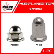 M6-M Flange Nut 6 - 6Mm-6 Mm Cap Nut