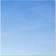 25/9 LUPUS SUCCESS - 9 BOOKS [ B1UBD ]