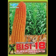 Benih jagung Hibrida BISI 18 1kg