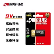 Shuanglu 9V Battery 1604A 6F22 Alkaline Battery 6LR61 Nine Volt Security, Microphone Battery