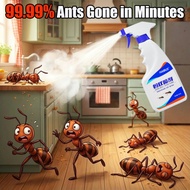 Ant Repellent Ant Killer Spray Ant spray for gardens, homes, and indoors/Termite killer Termite 蚂蚁喷雾