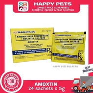 ♞Amoxtin 24 sachets x 5g