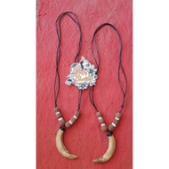 Kalung etnik taring babi betina asli kalimantan,
