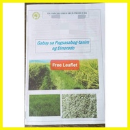 ◐ ◨ ◫ Palay/Binhi/Rice Seeds IRRI David DINORADO (40 kg)