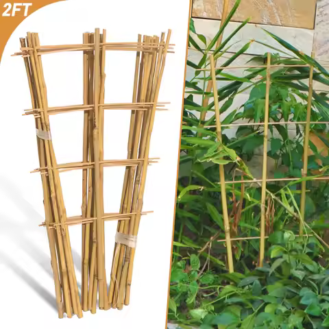 10pcs 2FT Bamboo Trellis For Climbing Plants,Fan-Shaped Plant Support Trellis For Houseplants Ivy Ho