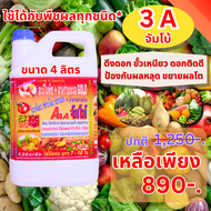 3A “จัมโบ้” ฉีดพ่นทางใบ สำหรับ “พืชผักทุกชนิด” ลดการใช้ปุ๋ยเคมี พืชสมบูรณ์ โตไว เขียวเร็ว ผลโต