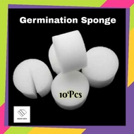 10 Pcs Hydroponic Sponge Germination Hidroponik Span 3.2cm x 2.8cm / 4.0cm x 4.0cm