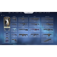 Valorant Account (Full access)
