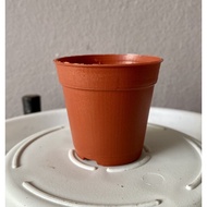 5cm/10cm plastic flower pot