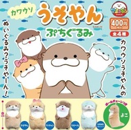 預購（2026 8月日本推出）（Amuse 扭蛋）（一套/單售）水獺朋友毛公仔