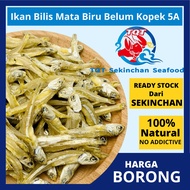 TQT SEKINCHAN Ikan Bilis MATA BIRU Belum Kopek Ikan Bilis Emas 100g+-  500g+-  Borong Dried Anchovy