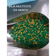 BAJA MULTICOTE *Slow release fertilizer- NPK 14+14+14+3MgO+TE (6 MONTH FERTILIZERS)
