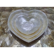 Decorative shell plates in various models