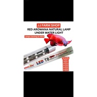 Nikita T8 p1500 p1800 arowana arowana tanning & view Lights show Contest