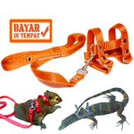 Tali Harness H [Size S] (ORANGE) Penuntun Hewan harnes Kecil Tupai Sugar Glider Landak Mini Anak Bia