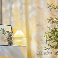 Atmosphere Background Live Broadcast Removable Female Indoor Warm Background Cloth New Style Anchor 