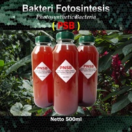 Pupuk PSB Bakteri Fotosintesis Photosynthetic Bacteria PNSB 500ml