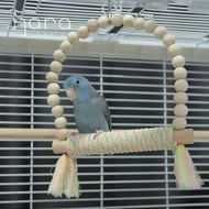 Bird Swing Perch Stand