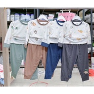 Dokma 9-36M boys' long-sleeved set, soft and cool DB3180, DB3021