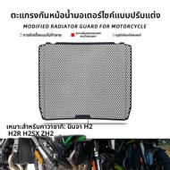 BIG EXPL OSION | ตาข่ายป้องกันถังน้ำสำหรับ Kawasaki Ninja H2 H2R H2SX ZH2