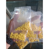 vitamin B complex burung ayam (50biji) repack