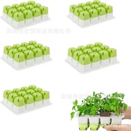 Upgraded Silicone Seedling Pot Plant Planting Seedling Pot Set Seed Seed Tray