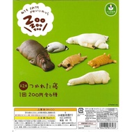 Asari ZOO Dormant ZOO P2 Second Ready Stock