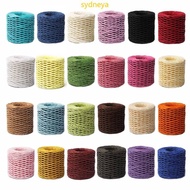 Best Colorful Thread Raffia Straw Yarn Cotton Raffia Yarn Sun Hat Yarn for DIY Lover