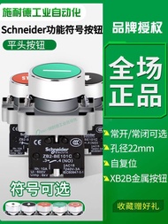 New Arrival Retro Schneider Flat Head Push Button with Symbol XB2BA4342C/XB2A3341C Function Logo Eme