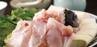 Ginza Fuguji (ふぐ福治) Pufferfish Speciality in Tokyo