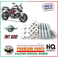 Benelli  TNT 600 CALIPER SPECIAL SCREW