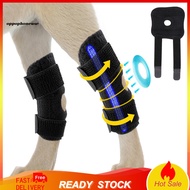 [In Stock]  Dog Leg Brace for Hind Hock Joint Support – Rear Leg Compression Wrap for Acl Ccl Injury