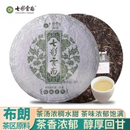 Get Gifts🎀Colorful Yunnan Pu 'Er Tea Leaf Alcohol Yunsheng Pu 'Er Cake357 Pu'er Tea Tea Cake Authentic Menghai Chitsu Pi