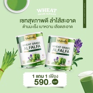 yumiko wheat grass alfalfa   วีทกราส อัลฟาฟ่า คลอโรฟิลล์ ยูมิโกะ ขนาดจัมโบ้ 200 กรัม Wheatgrass Alfa