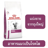Royal canin Renal อาหารแมวโรคไต (แบ่งขาย)
