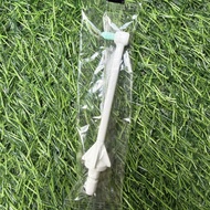Panasonic WEW0984/1211/1511/1513/1521/EW1612 Nozzle for Dental Flusher Tooth Cleaning Correction