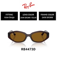 RAY-BAN POLARIZED RB4473D 714/83 glasses - Size 56