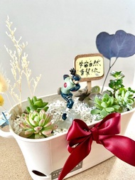 多肉組盆 多肉植物 日式 火影忍者 忍者 教師送禮 教師節 禮物